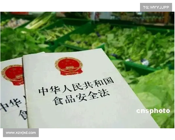 网上购彩新趋势探索:安全、便捷与法律监管的完美结合 网上购彩新趋势探索:安全、便捷与法律监管的完美结合